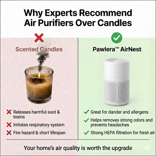 Pawlera™ AirNest, Top-Rated Pet Air Purifier In The Market