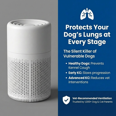 Pawlera™ AirNest, Top-Rated Pet Air Purifier In The Market